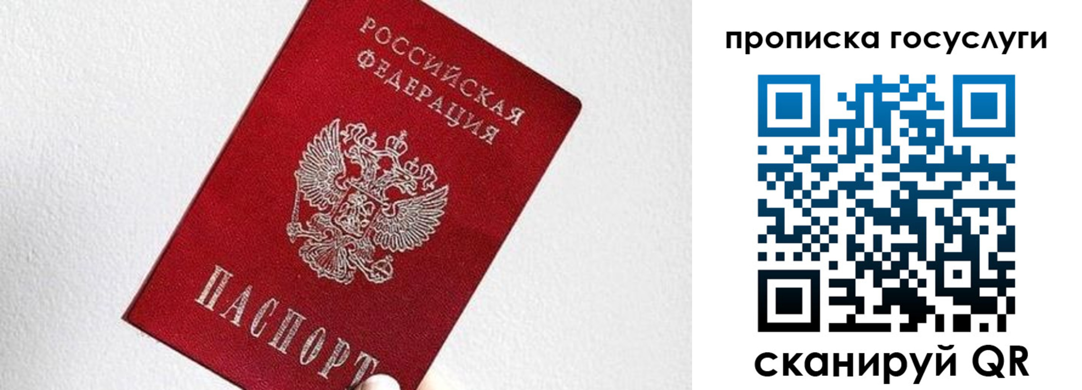 прописка законно в Цимлянске
